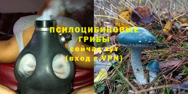 гидра Туринск