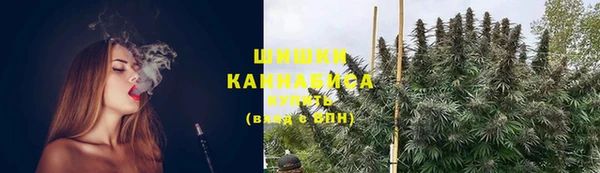гидра Магас