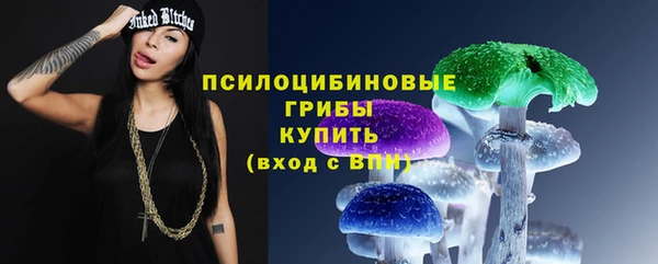 гидра Магас