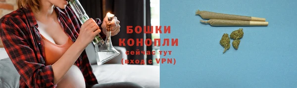 гидра Магас