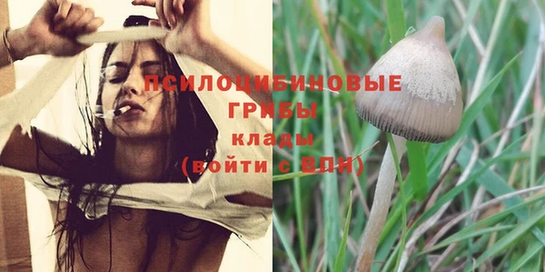 МДПВ Лиски
