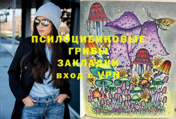 соль курить ск Строитель