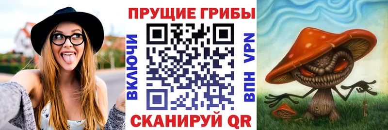 даркнет сайт  Новоуральск  Псилоцибиновые грибы Psilocybine cubensis 