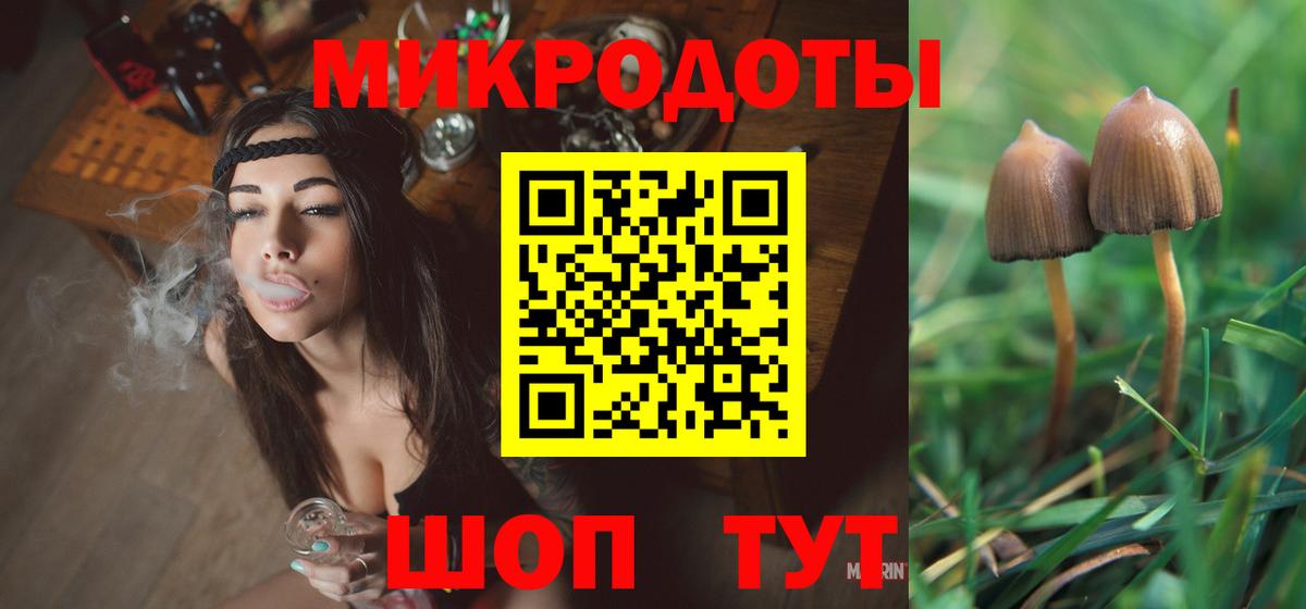 Галлюциногенные грибы Psilocybine cubensis Новоуральск